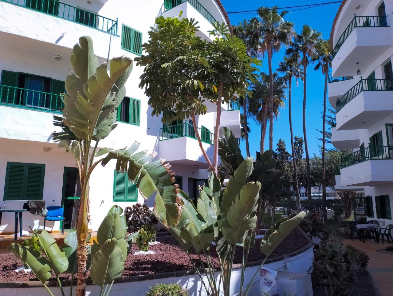 פלאייה דל אינגלז Canarian Havaii En Faluas מראה חיצוני תמונה